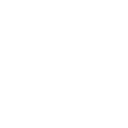 Translocator