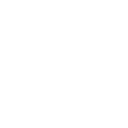 Cyber Frag