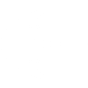 Lunge