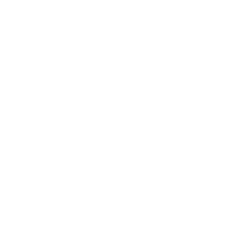 Guardian Wave