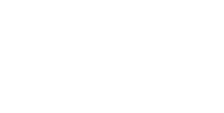 Zhuque Fans